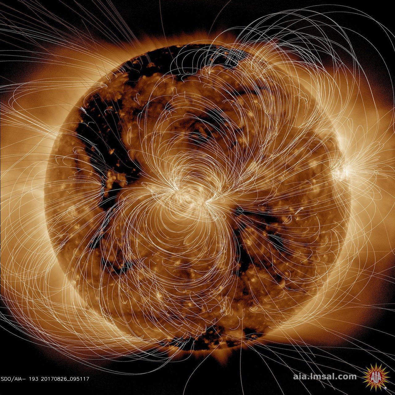 NASA's Solar Dynamics Observatory image showing sun's magnetic field lines on August 10, 2018