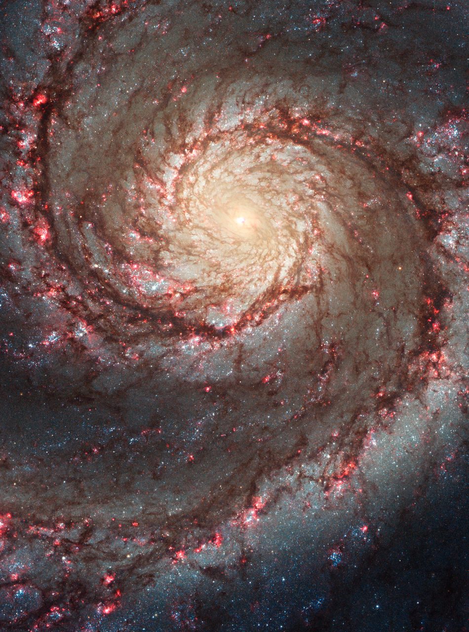 The Whirlpool Galaxy displaying distinct spiral arms and a bright core against a starry background.
