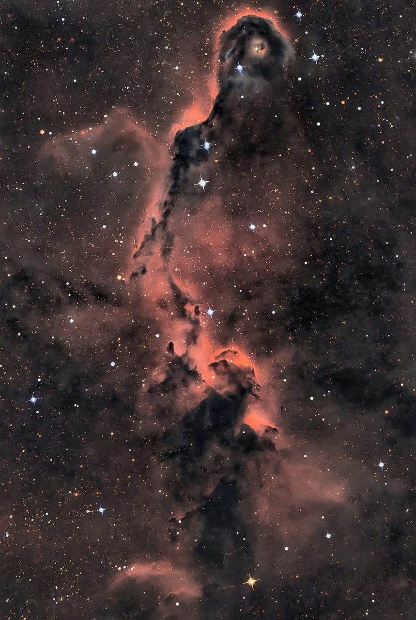 A vibrant cosmic scene featuring the Elephant's Trunk Nebula in the constellation Cepheus, with colorful gas clouds and stars.