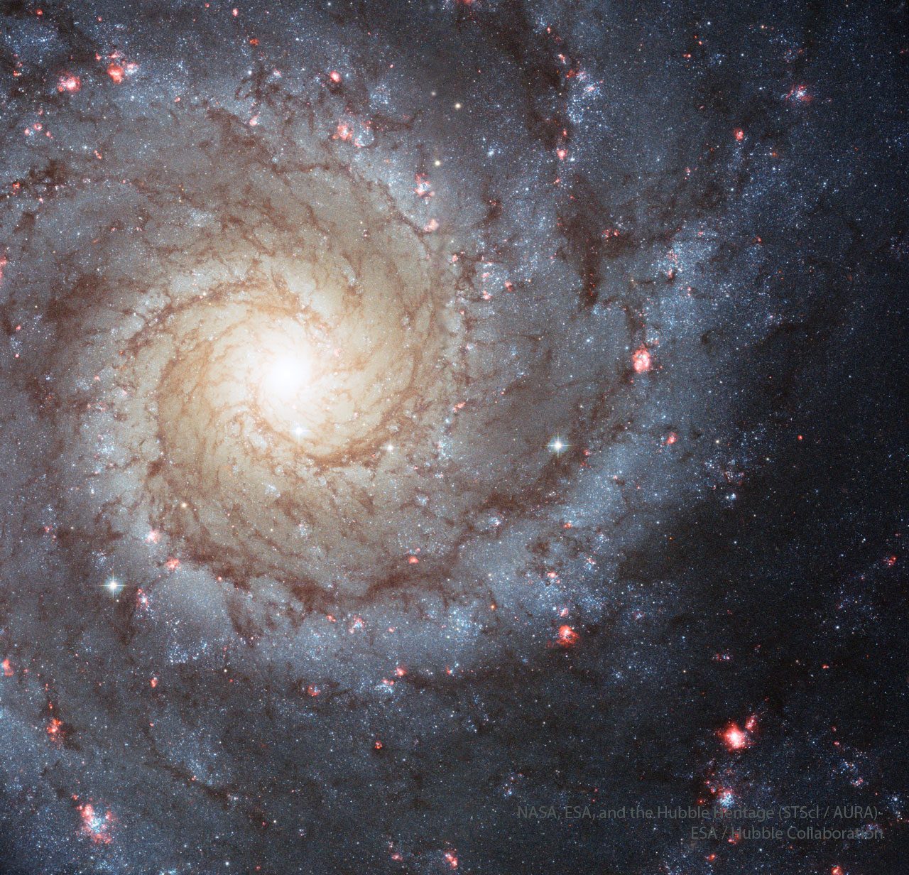 A detailed view of M74, a grand design spiral galaxy with bright core and distinct spiral arms.