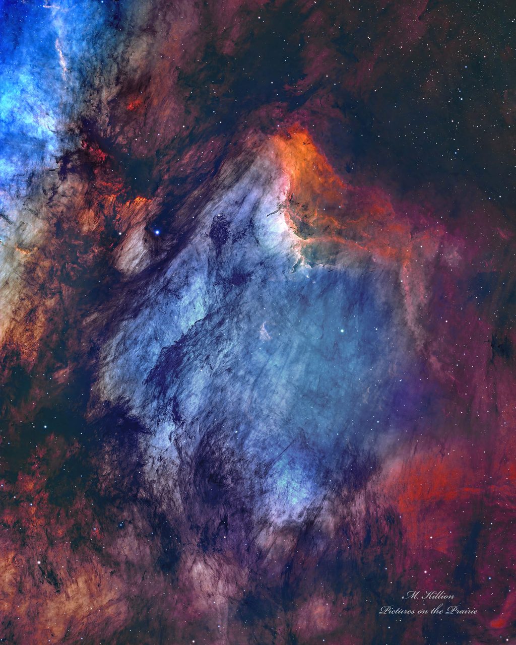 A vibrant image of the Pelican Nebula showcasing colorful gas clouds, dust formations, and twinkling stars.