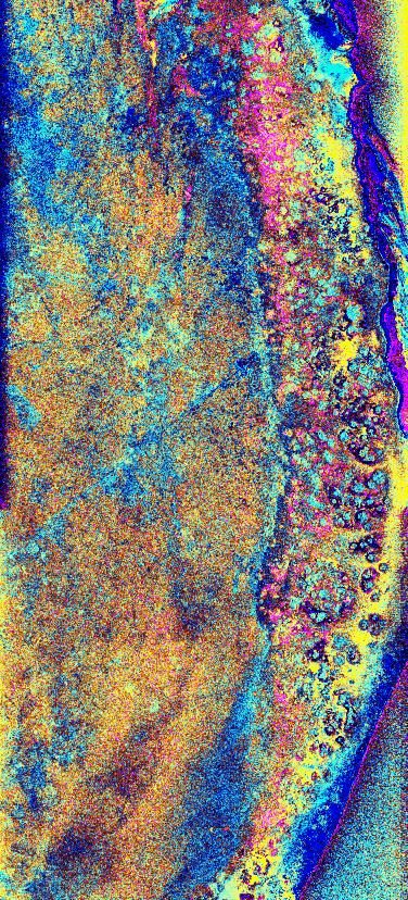 Radar image depicting the southwest section of the Chicxulub impact crater in Mexico's Yucatan Peninsula.