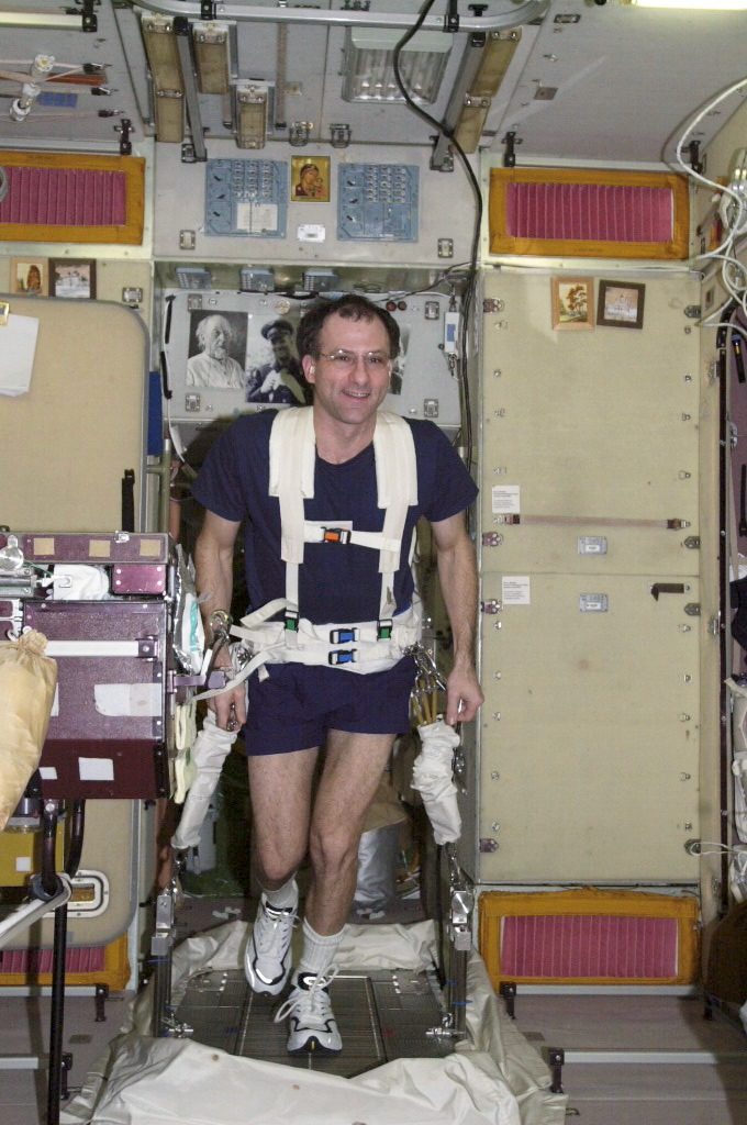 Flight Engineer Donald R. Pettit exercises on the treadmill in the Service Module during Expedition Six.