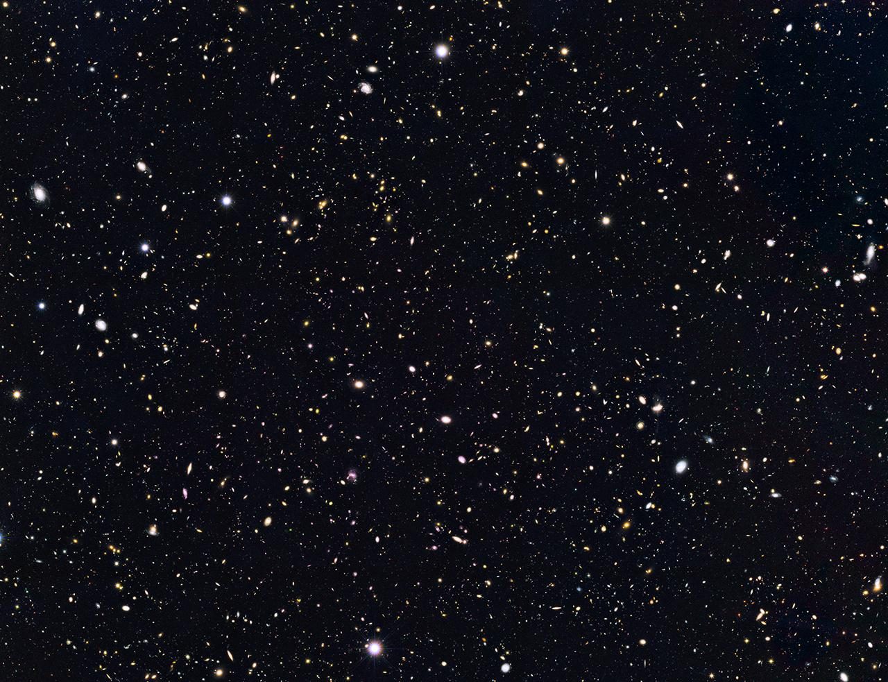 Distant Galaxies in Goods North