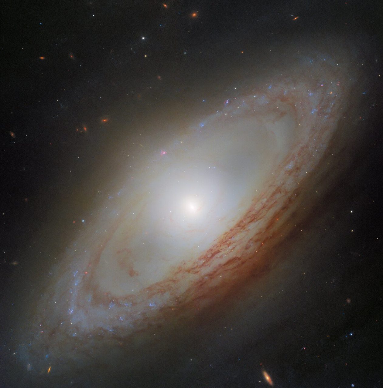 A spiral galaxy with bright core and swirling arms, appearing slightly distorted against a backdrop of distant stars.
