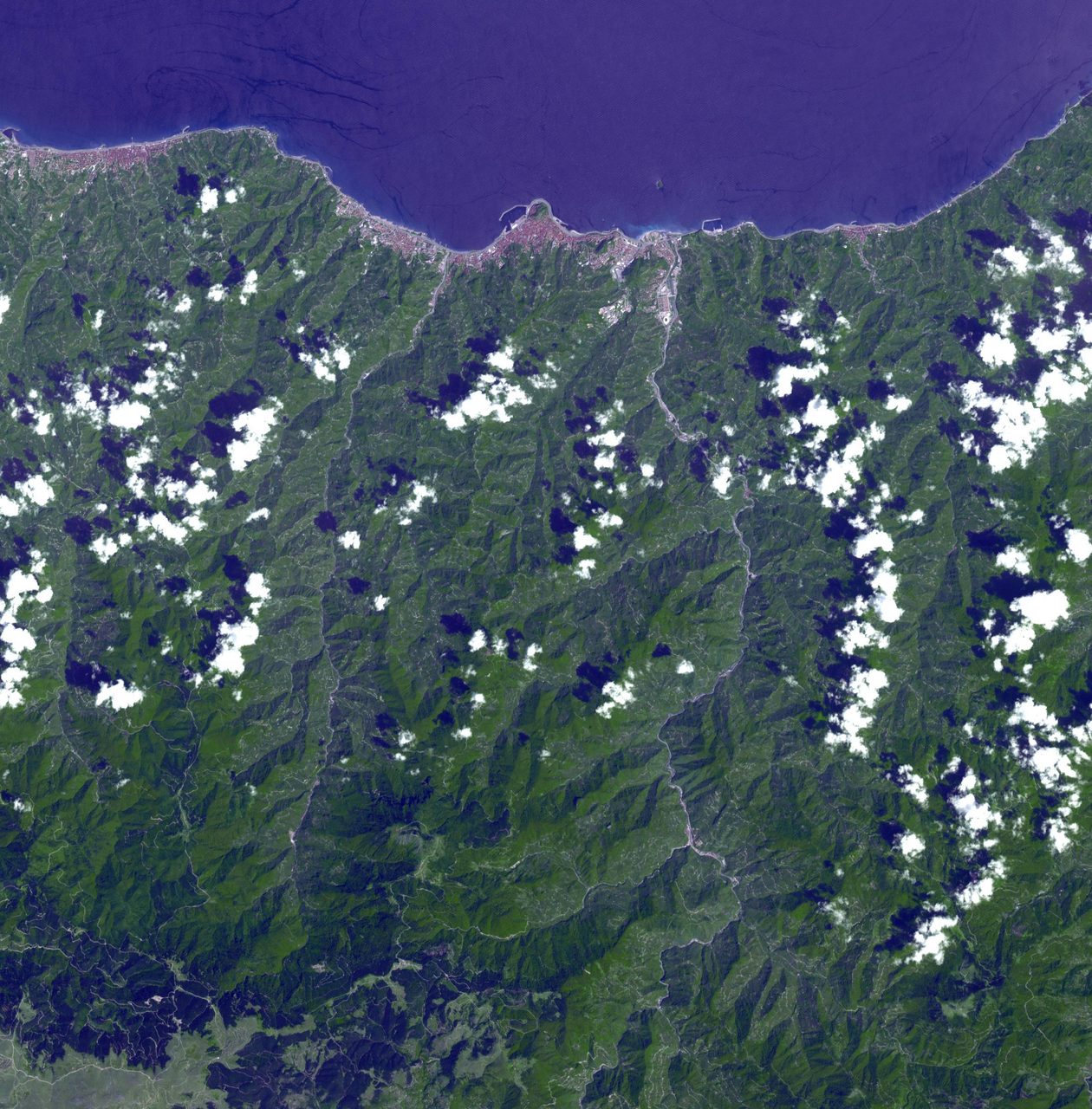 Aerial view of lush green slopes in the Pontic mountain range, Turkey, near the Black Sea.