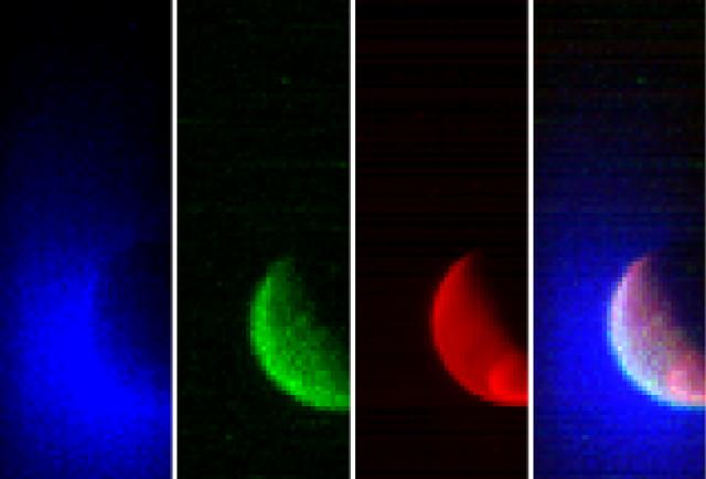 MAVEN spacecraft captures and returns its first detailed observations of Mars, showcasing the planet's atmospheric and surface conditions.