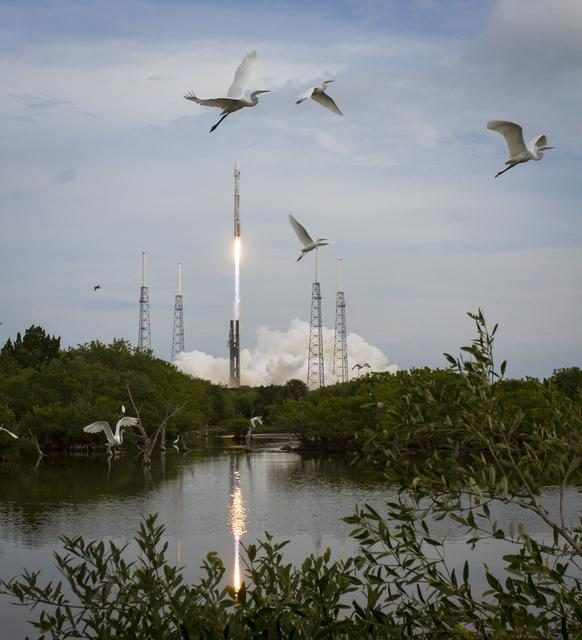 A powerful Atlas V rocket launches MAVEN spacecraft into space under a clear blue sky.