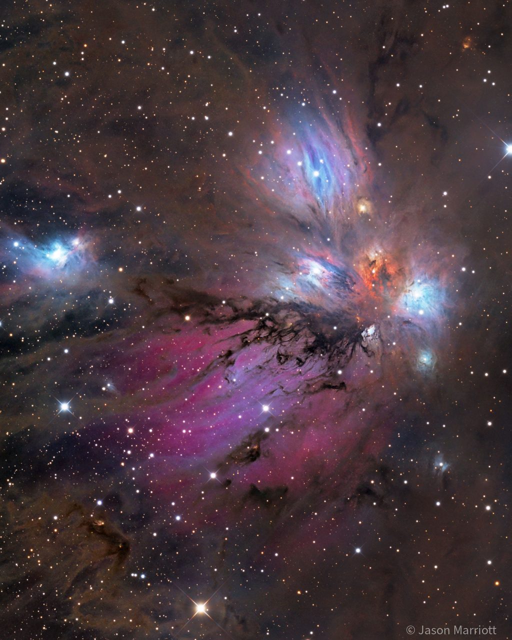 A vibrant cosmic scene featuring NGC 2170, known as the Angel Nebula, with colorful dust clouds and bright stars.