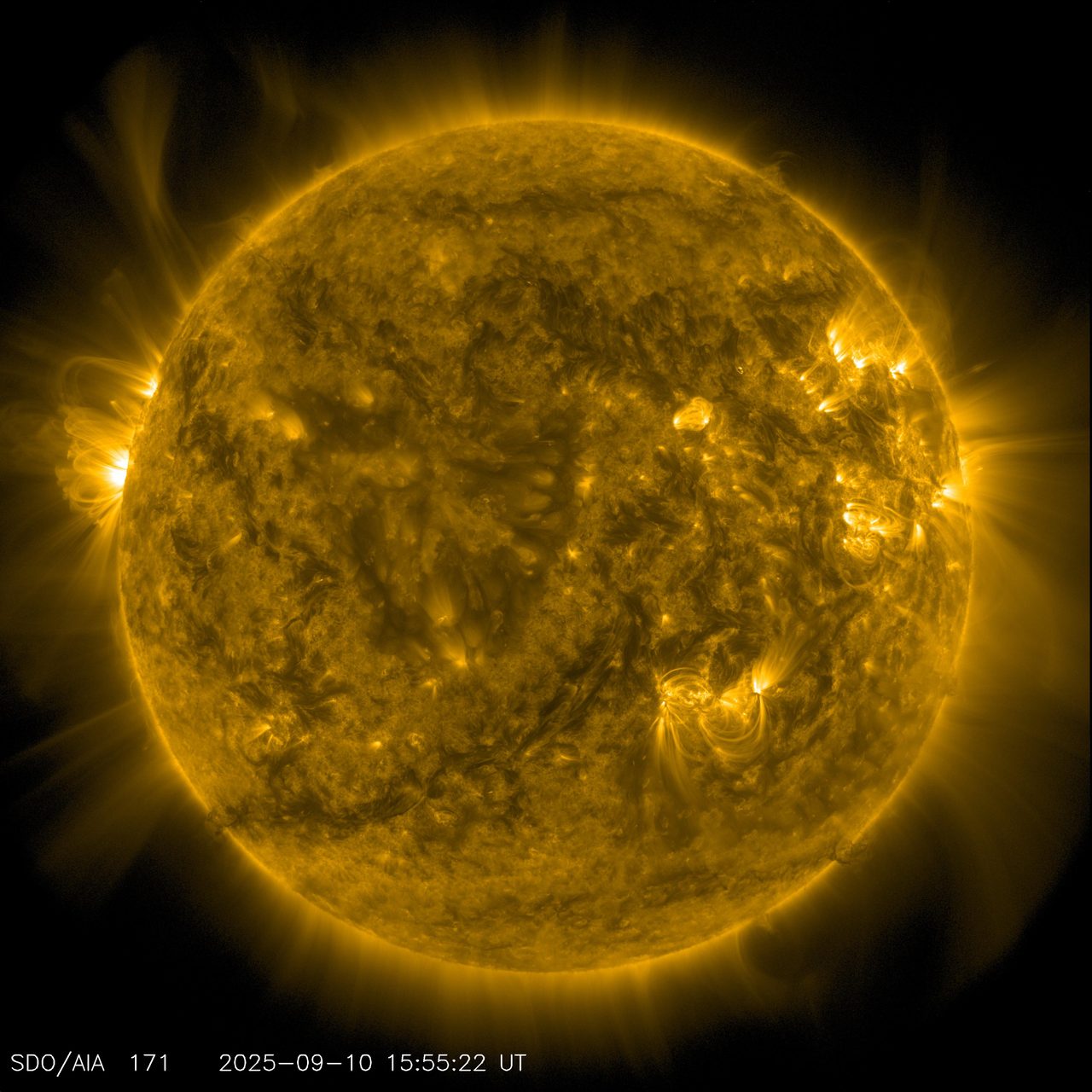 NASA's Solar Dynamics Observatory captures a detailed image of the Sun on September 10, 2025.
