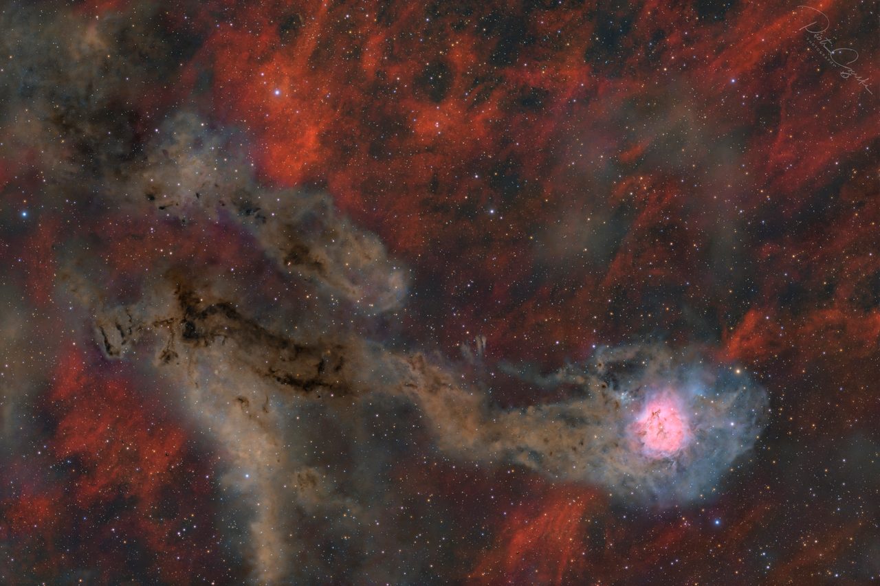 Wide field view of the Cocoon Nebula, showcasing vibrant colors and surrounding star field.