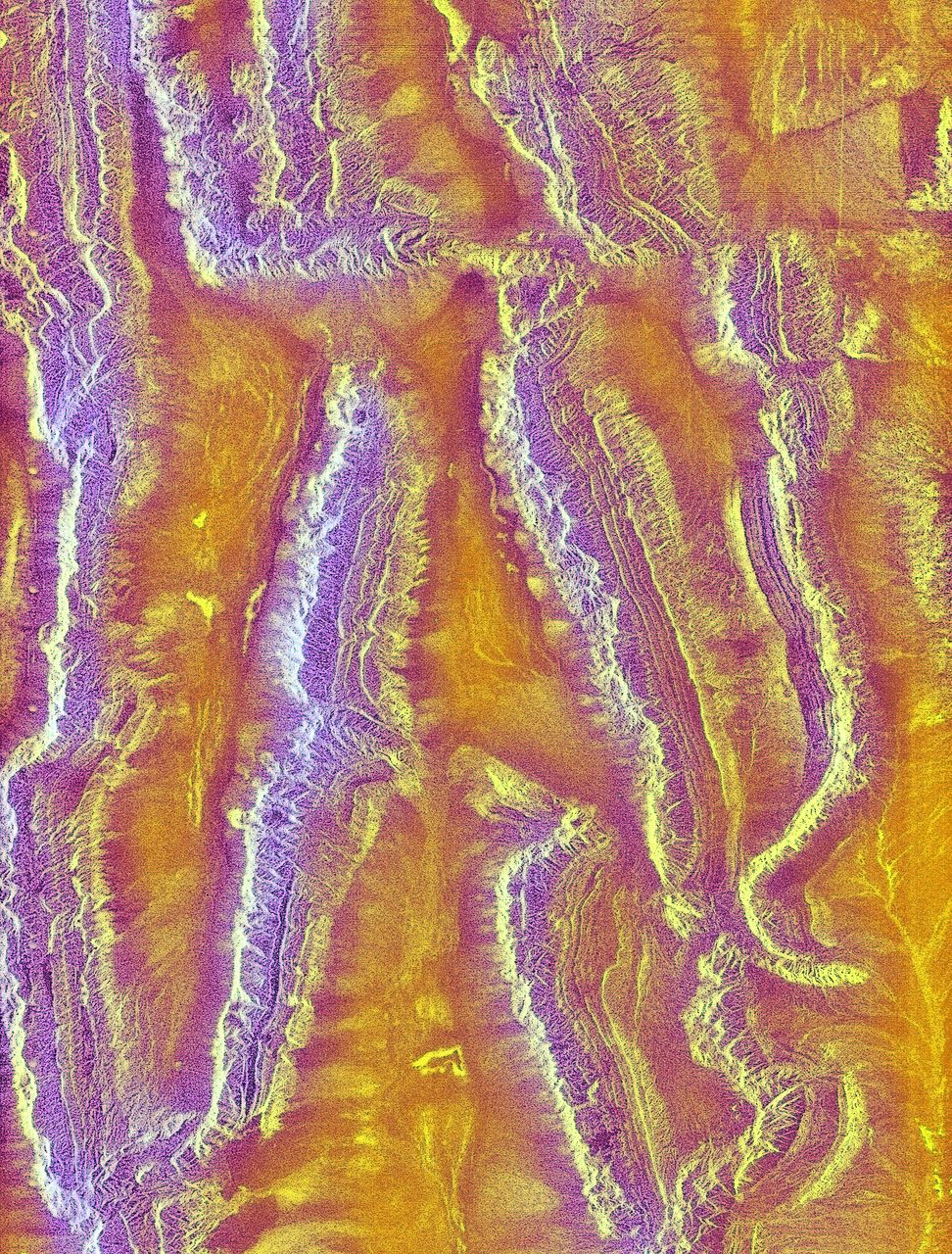 Radar image of China's diverse geological regions captured by NASA's Shuttle Imaging Radar A in 2000.