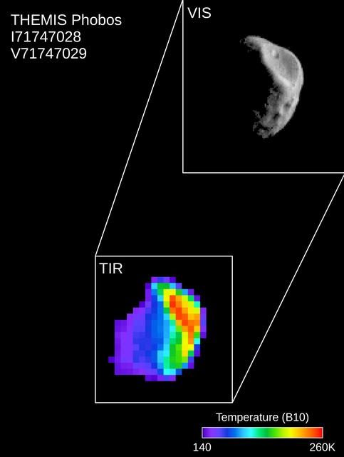 Martian moon Phobos showing varied surface temperatures in enhanced color image from Mars Odyssey orbiter