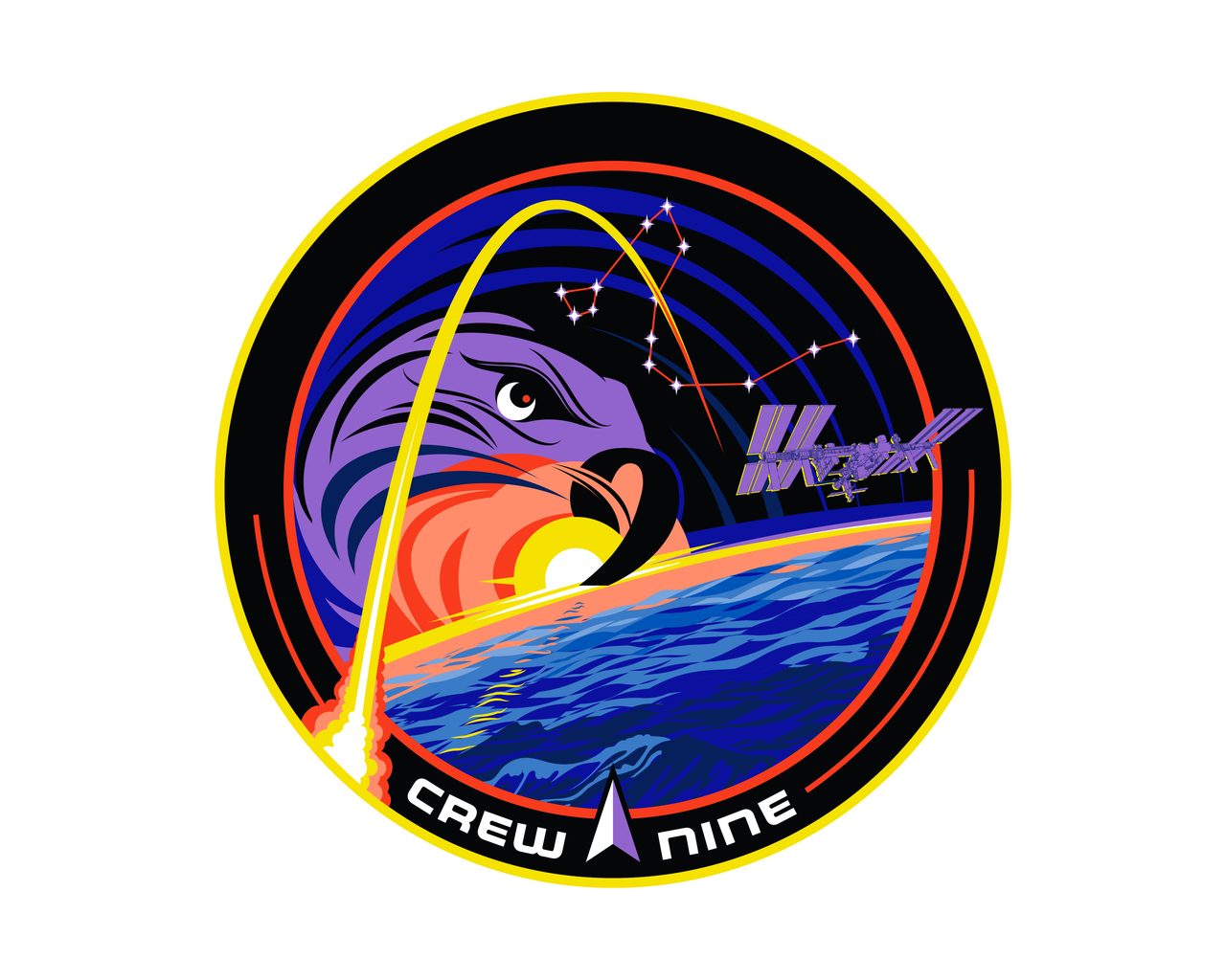 Crew-9 mission patch featuring rocket trail, falcon, and constellation Draco, symbolizing international space collaboration and exploration.