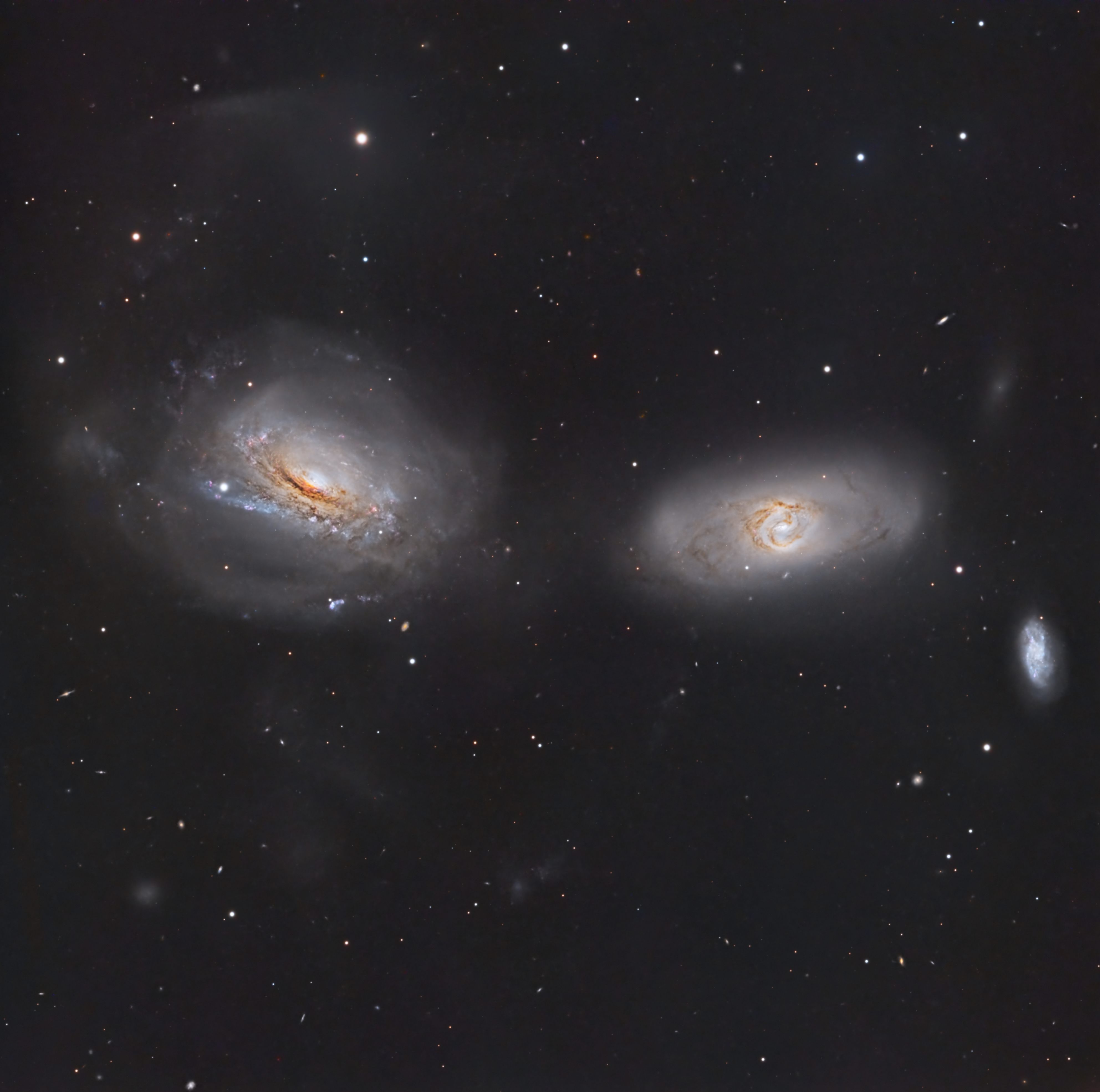 A detailed view of spiral galaxy NGC 3169 with bright core and swirling arms against a starry background.