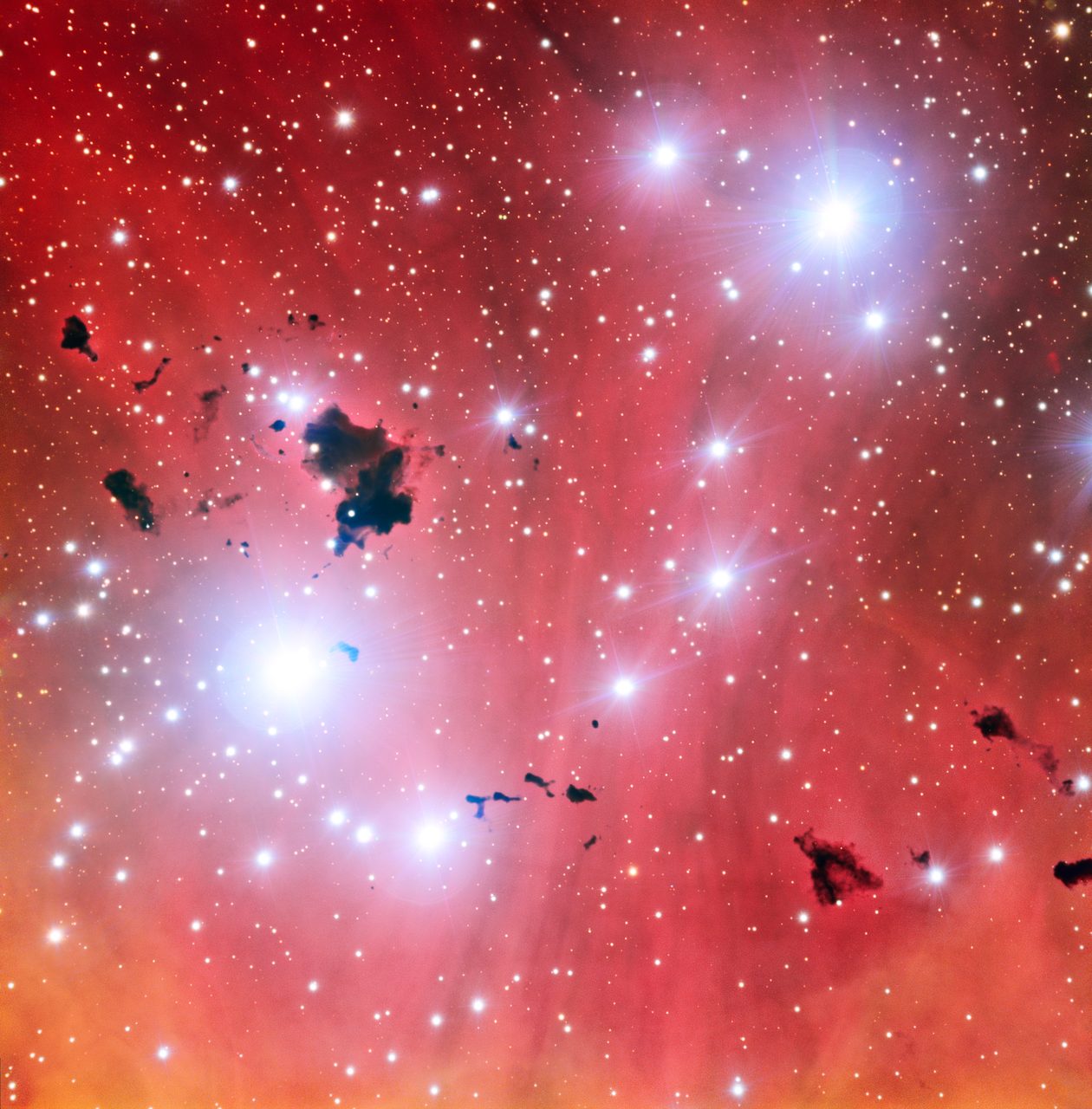 Thackeray's Globules in IC 2944