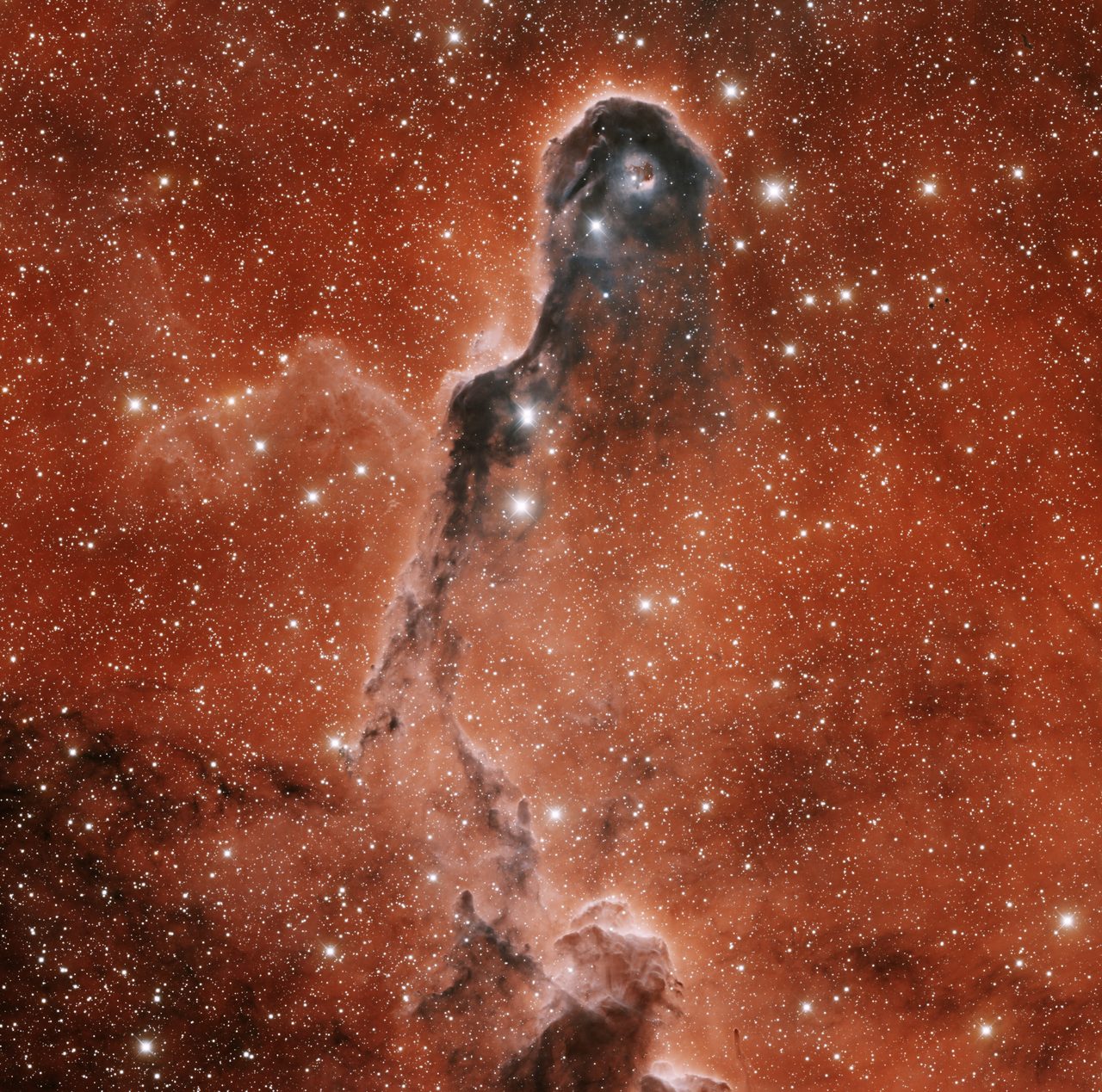 Elephant's Trunk Nebula IC 1396A