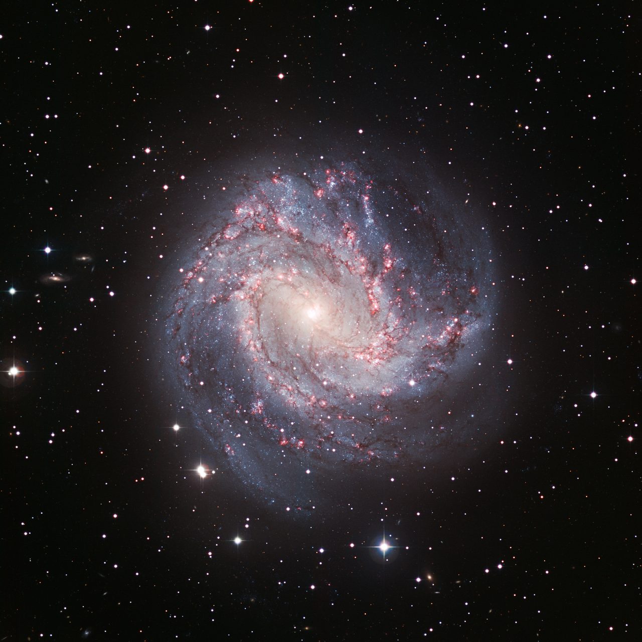 M83, the Southern Pinwheel Galaxy